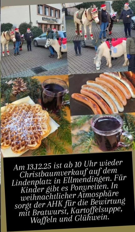 Weihnachtsbaum_ahk_25