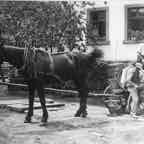 006 Richard, Heinrich + Karl Appenzeller_ji (Large).jpg