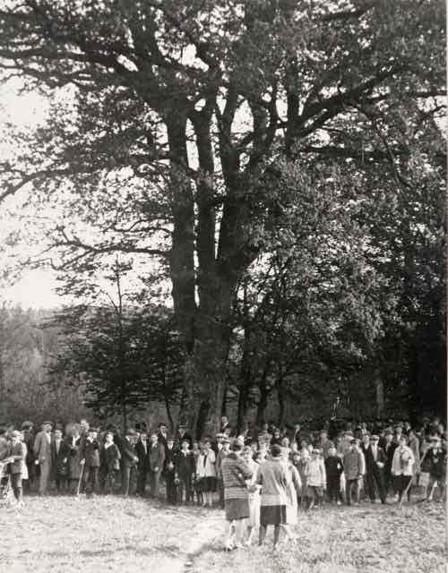062 Waldfest an der großen Eiche im Ranntal_ji (Large).jpg