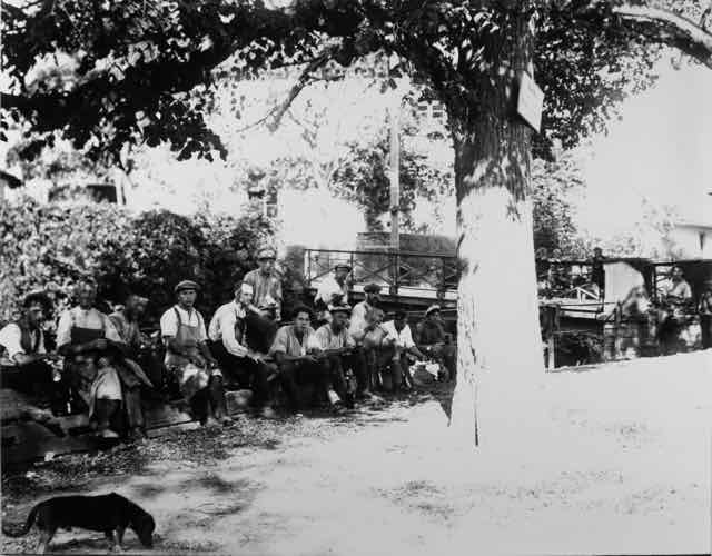 089 Lindenplatz_ji (Large).jpg